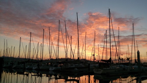 Forest of masts at dawn