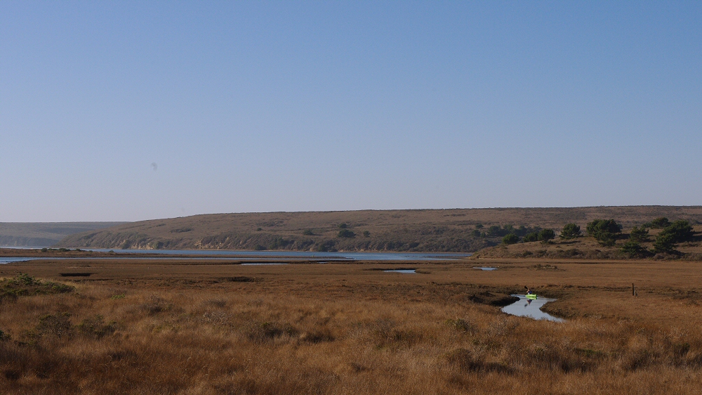Limantour Rd Point Reyes Limantour – Road and Ocean