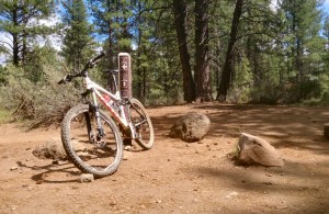 06-17 Bend Phils Trail 2