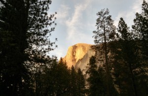 Half dome