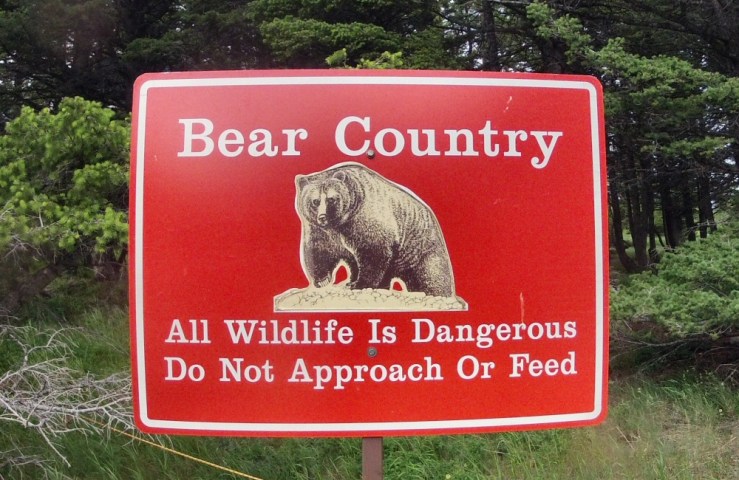 Bear Country