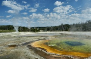 Yellowstone NP