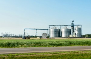 Grain processing plant