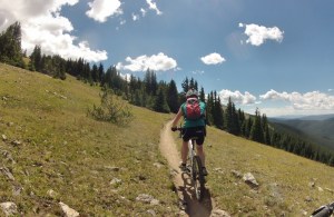 08-17 Monarch Crest Trail Helen 02