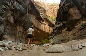 08-30 1600 Zion Canyon Narrows