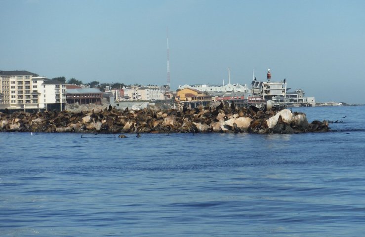 2014 10 22 1030 Leaving Monterey