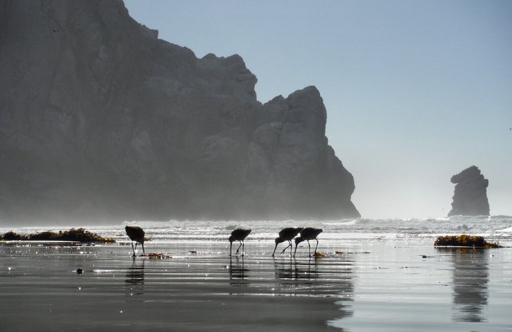 2014 10 23 1600 Morro Bay beach