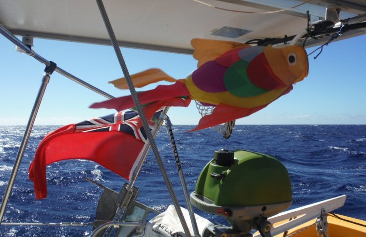 2014 11 15 0900 Mr Fish