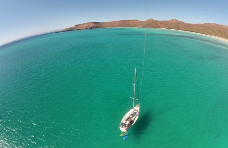 Rafiki in the Sea of Cortez