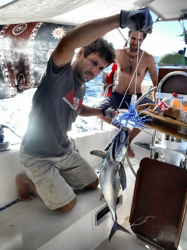 2014 11 27 1500 Tuna