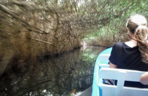 2014 12 11 1000 River ride