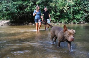 2014 12 26 1100 Waterfall walk