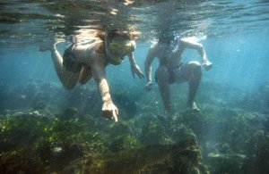2014 12 30 1100 Snorkeling at Marietas