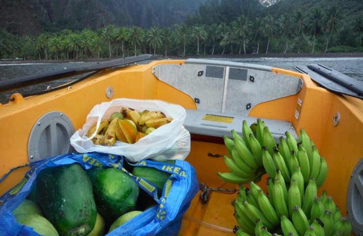 2015 04 10 1700 Fruit pickup