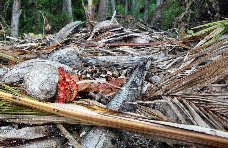 2015 04 17 1500 Makemo two ashore