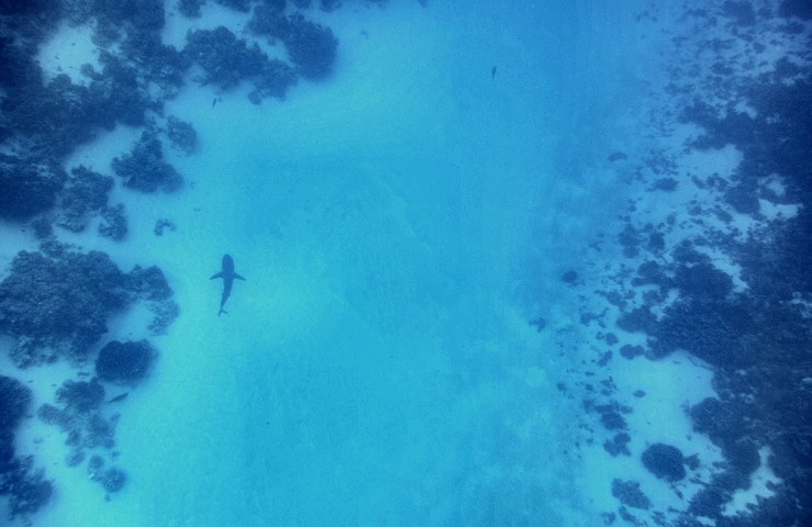 2015 04 21 1400 Fakarava S pass