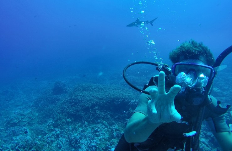 2015 04 22 1400 Shark dive 2