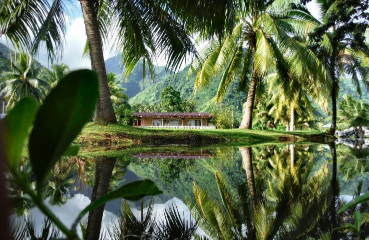 2015 05 05 1500 Teahupoo palms