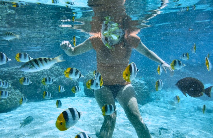 2015 05 16 1000 Tautau