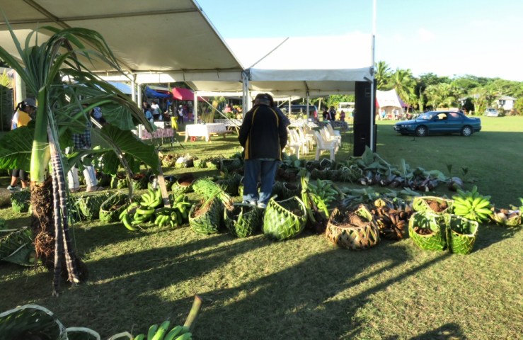 2015 06 06 1000 Niue show day