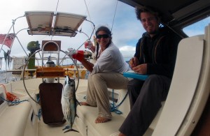 2015 06 29 1200 Tuna